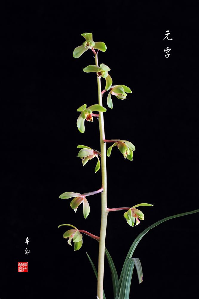 201157221240_d5756b35.jpg