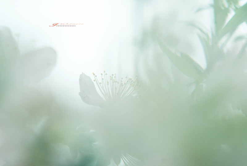 _IGP6044-1Ϊܶ-1.jpg