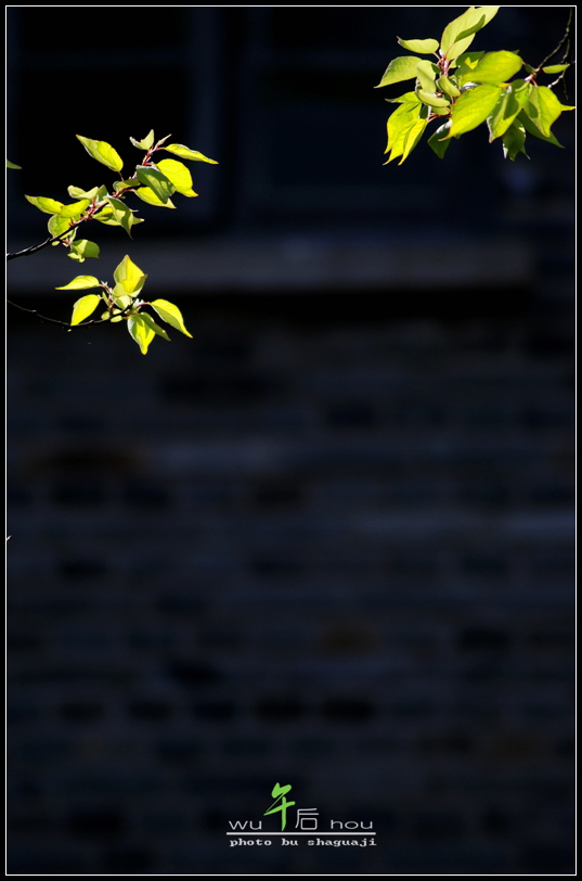DSC07923.jpg