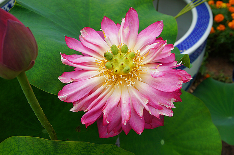 DSC00457_.jpg