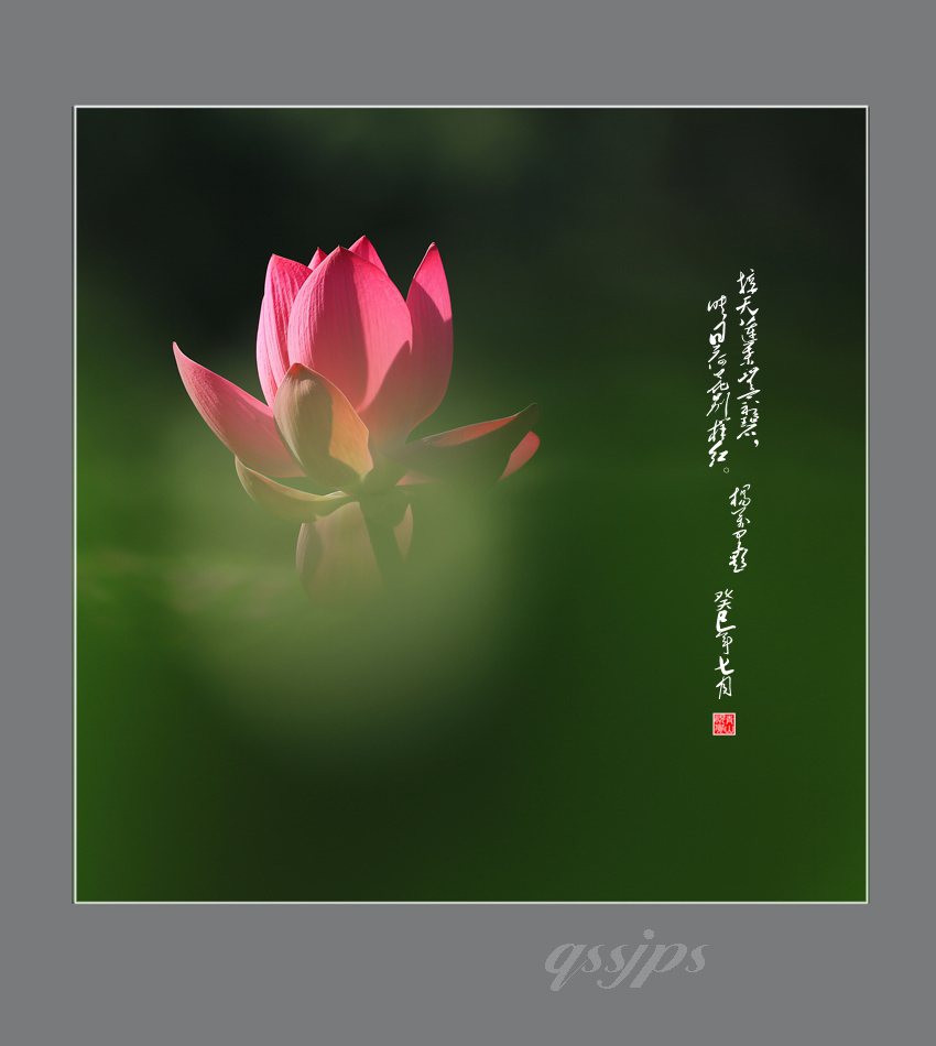 AD4A0979副f.jpg