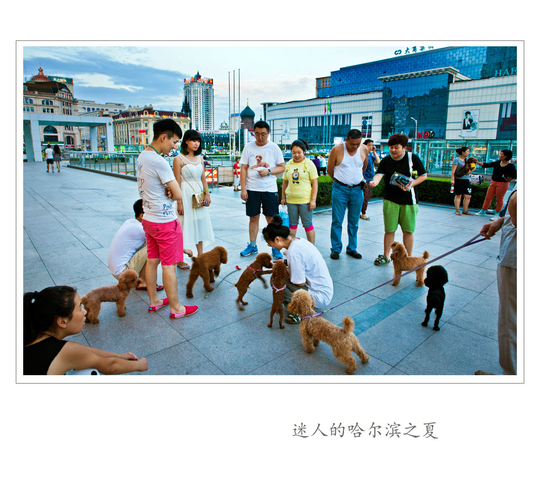 迷人的哈尔滨之夏-19.jpg