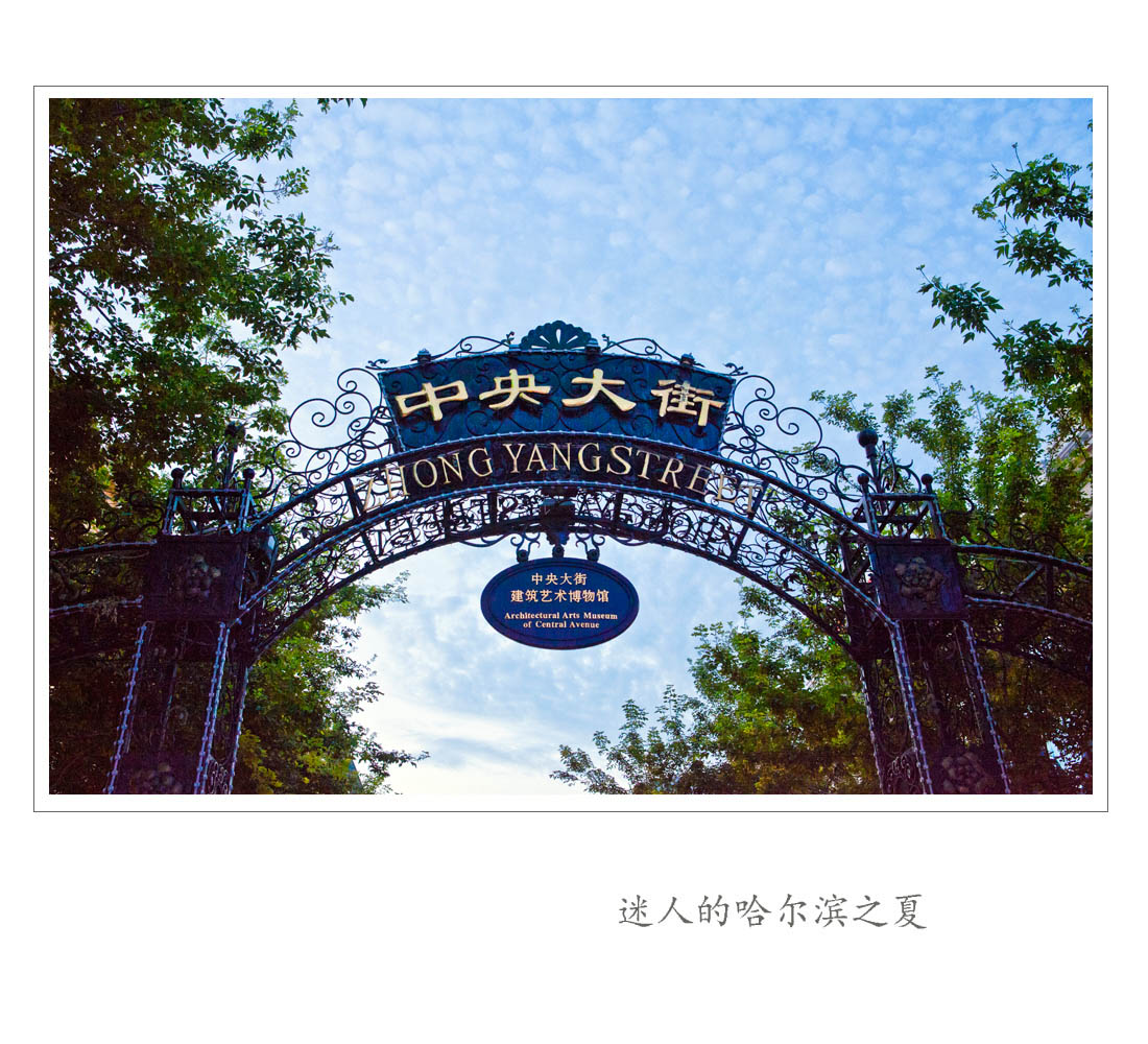 迷人的哈尔滨之夏-20.jpg