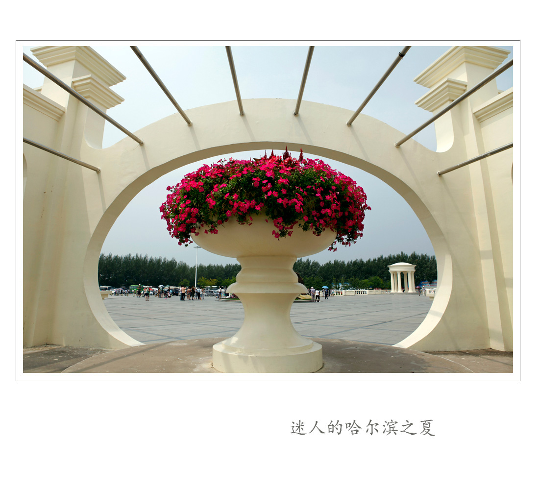 迷人的哈尔滨之夏-25.jpg