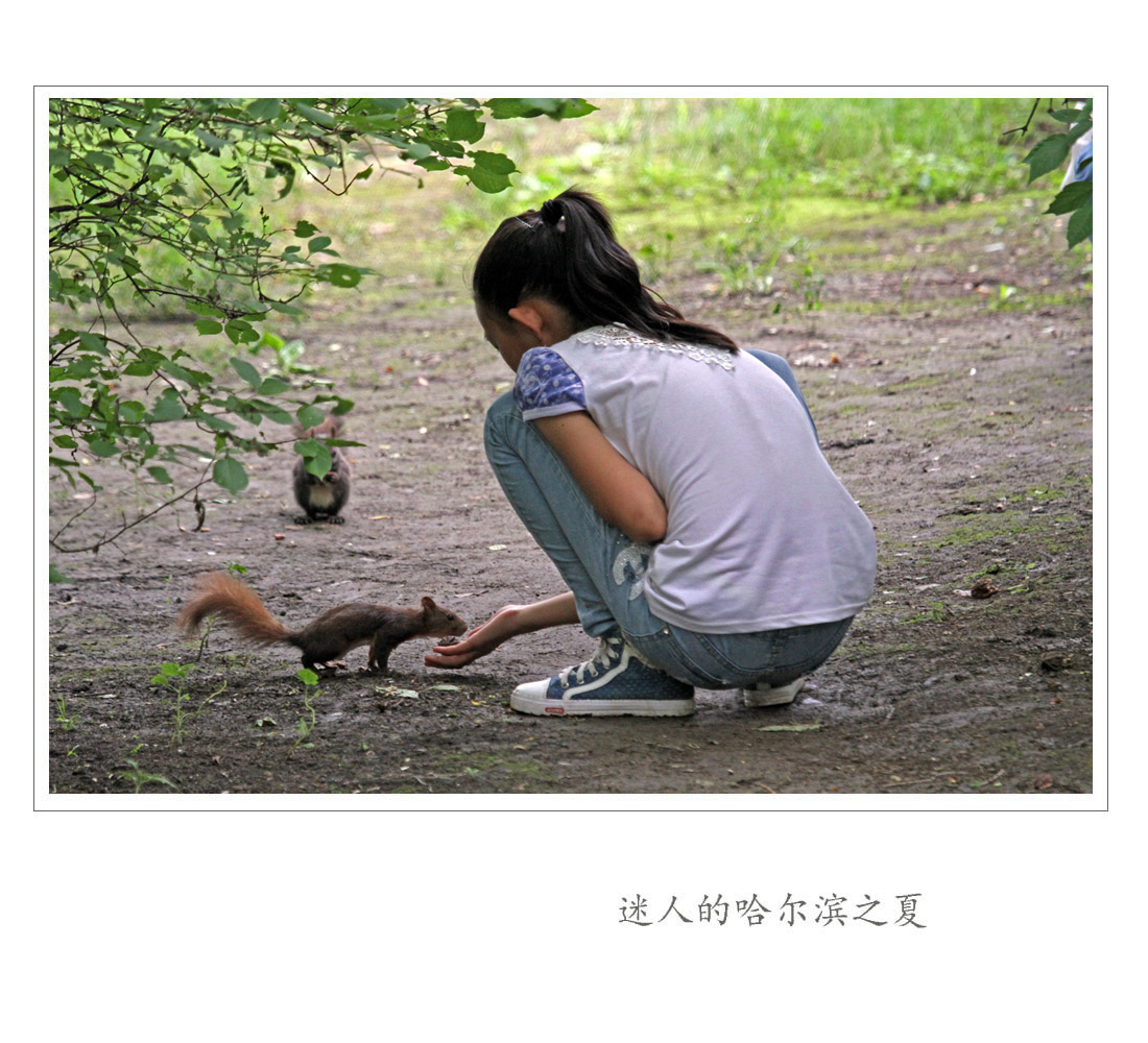 迷人的哈尔滨之夏-32.jpg
