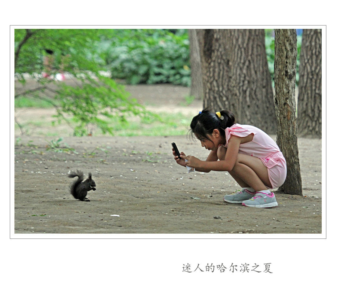 迷人的哈尔滨之夏-33.jpg
