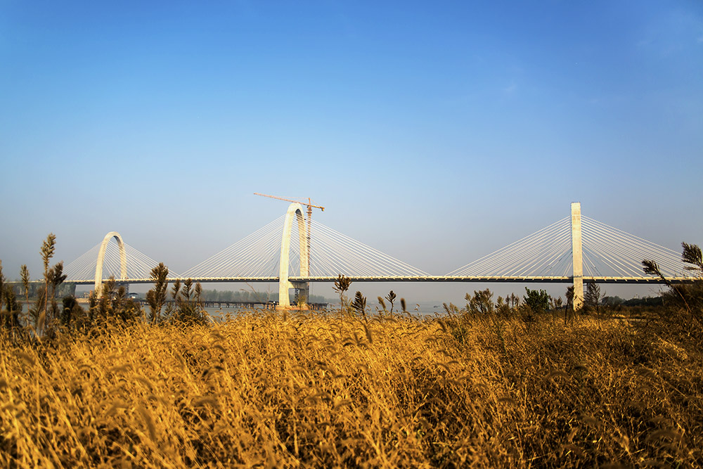 DSC_2085-s.jpg
