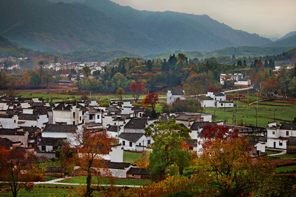_MG_9576a.jpg