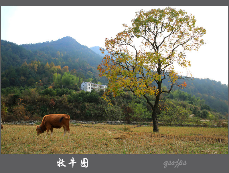 AD4A1760 副本.jpg
