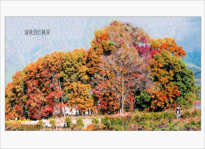 未标题_全景图1_conew1.jpg