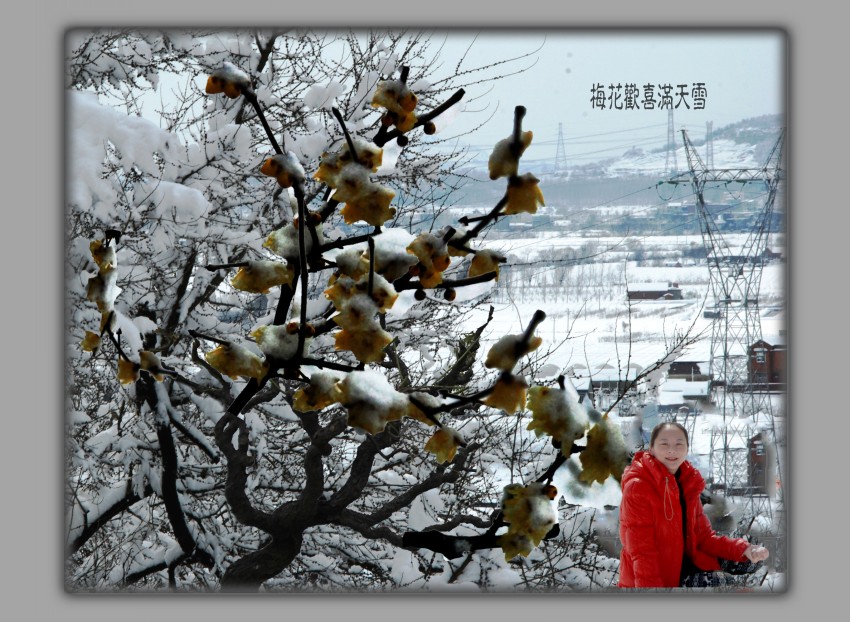 DSC_7534_conew1.JPG
