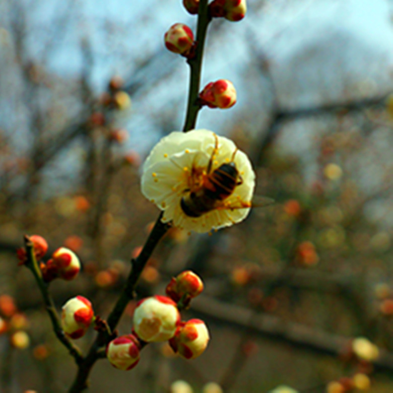 DSC00557_副本.jpg