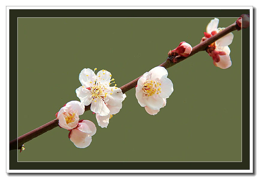 IMG_7615_副本.jpg