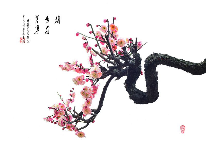 LCL_0803副本原件.jpg