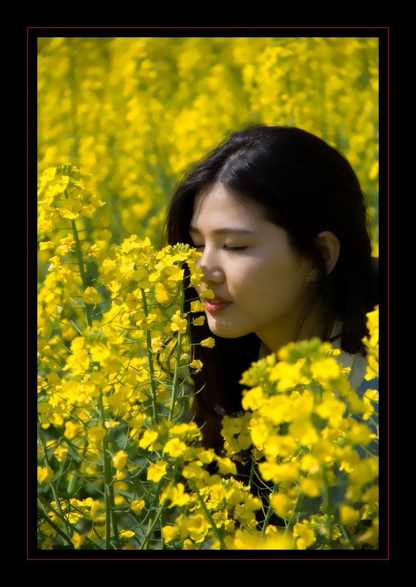 美在春天