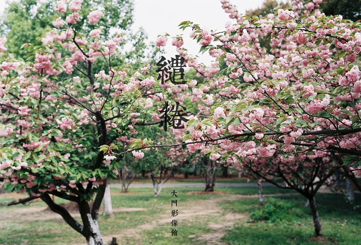 002.jpg