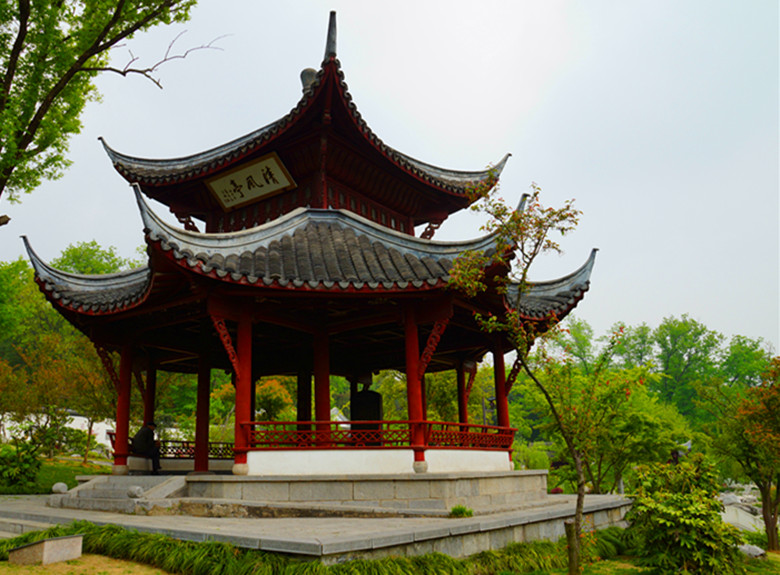 DSC01200_.jpg