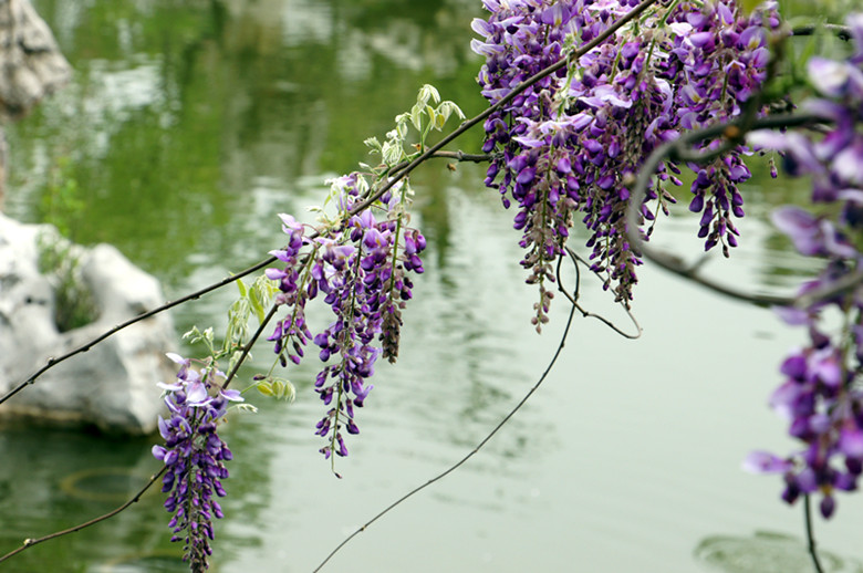 DSC02847_.jpg