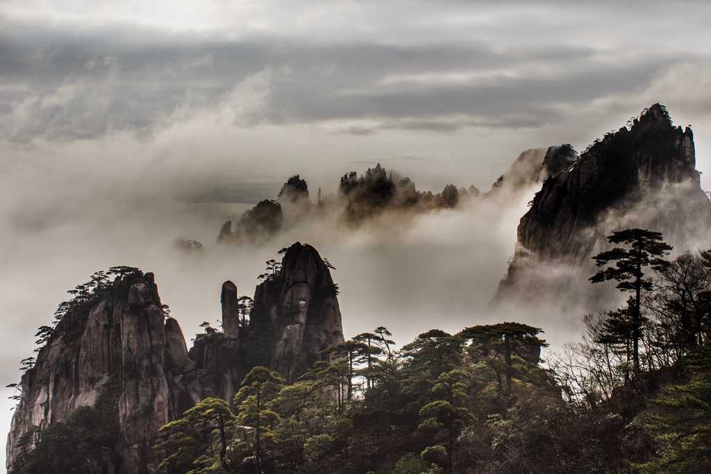 _MG_5302_.jpg