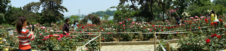 DSC02480_副本.jpg