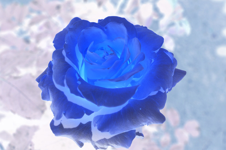 DSC02445_.jpg