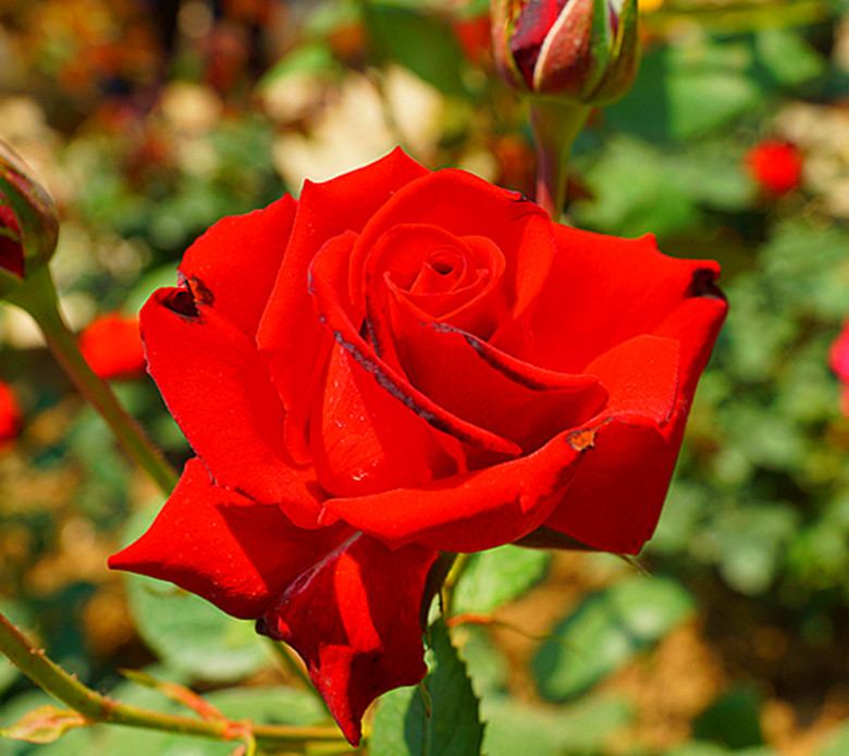 DSC02404_.jpg