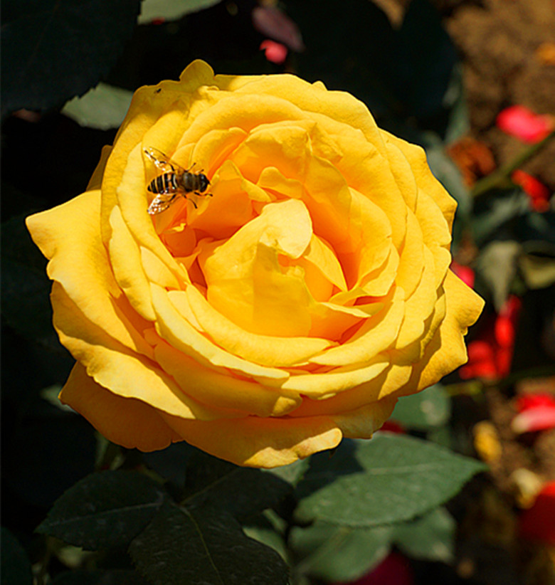 DSC02388_.jpg