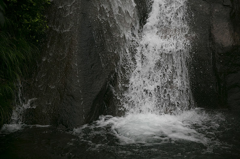 _D4A7141.jpg