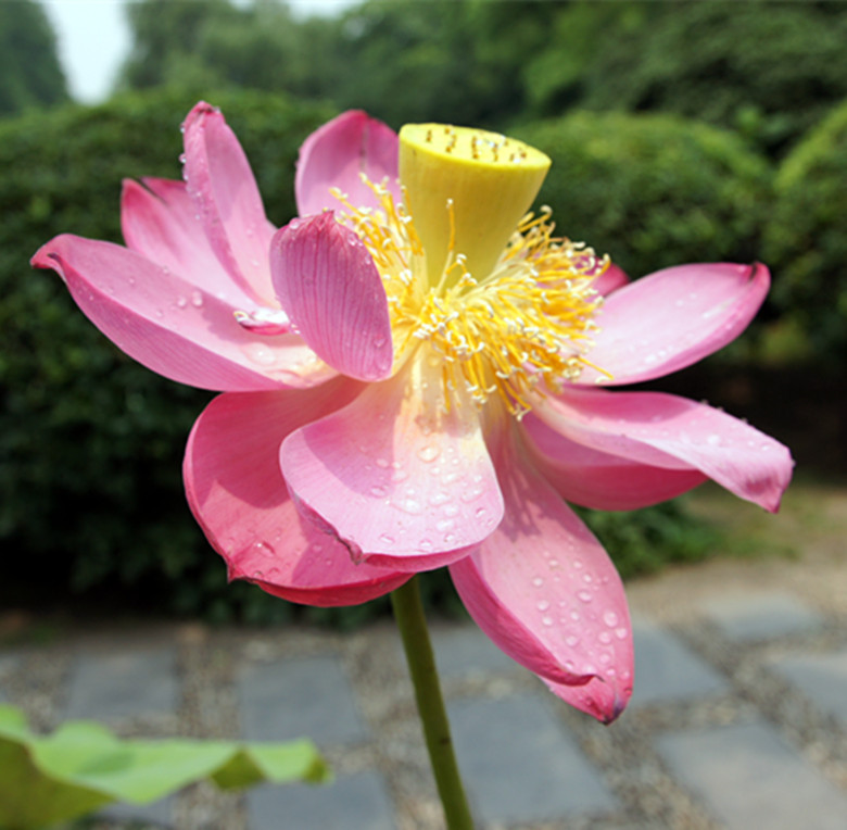 DSC03342_副本.jpg