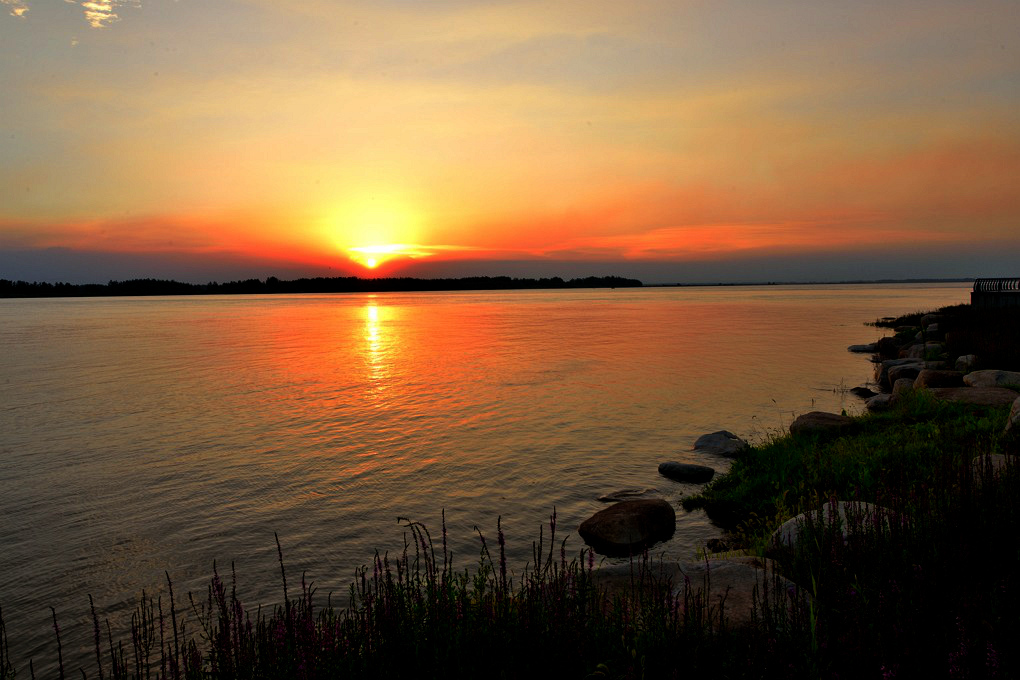 D8A_9741_.jpg