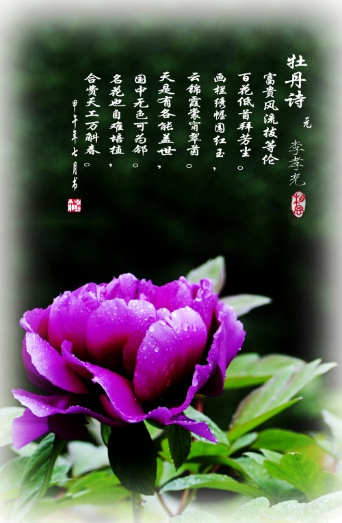 DSC_3243_conew7.jpg