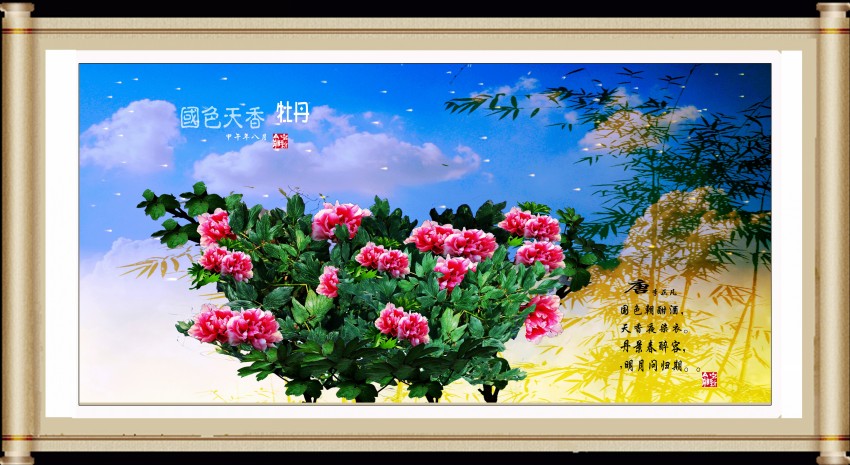 国色天香牡丹