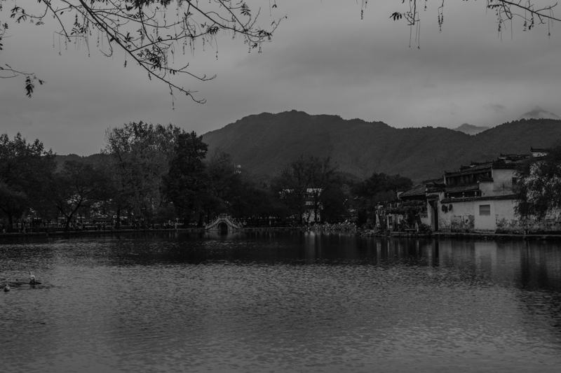 IMG_0632-2.jpg