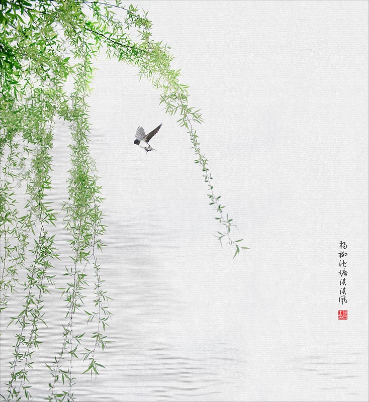 杨柳池塘淡淡风dd.jpg