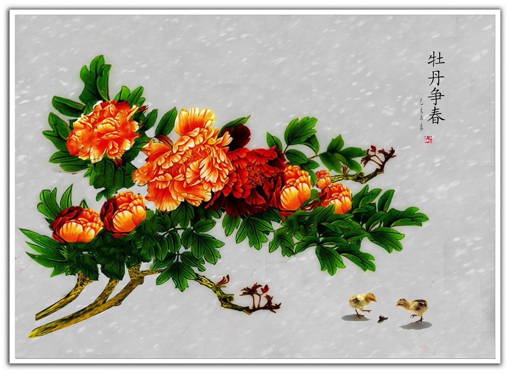 牡丹争春