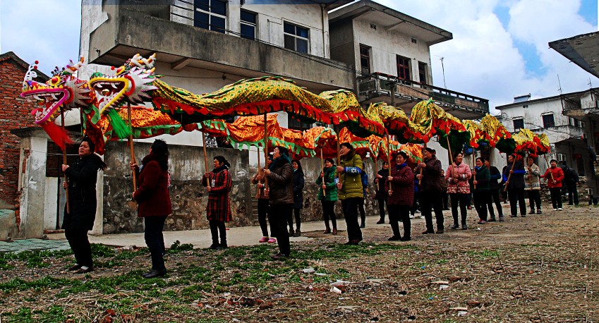 DSC_0131_conew1.JPG