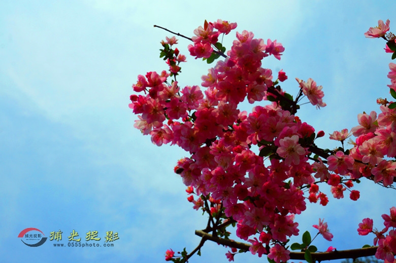 DSC00641_ - .jpg
