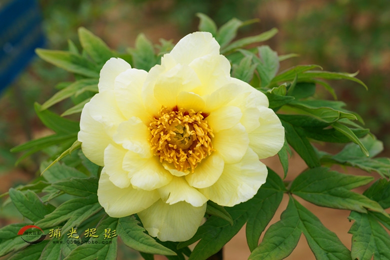 DSC02177_.jpg