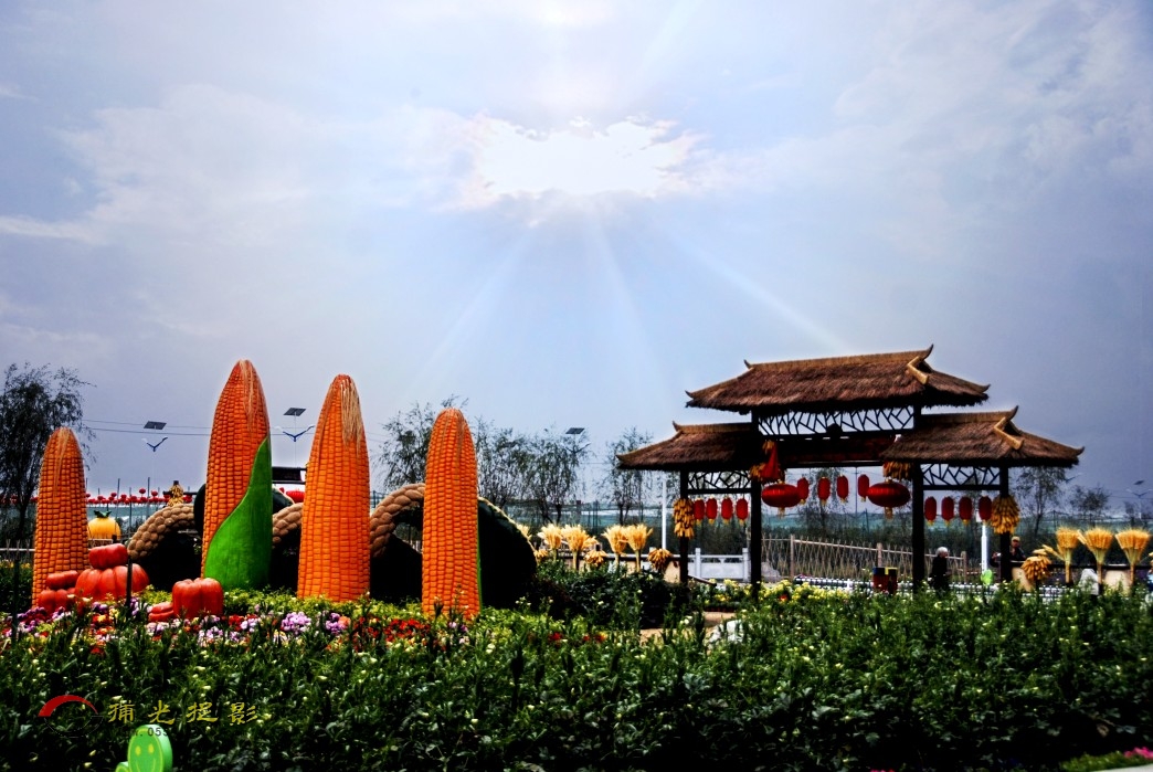 DSC_0037_conew1.JPG