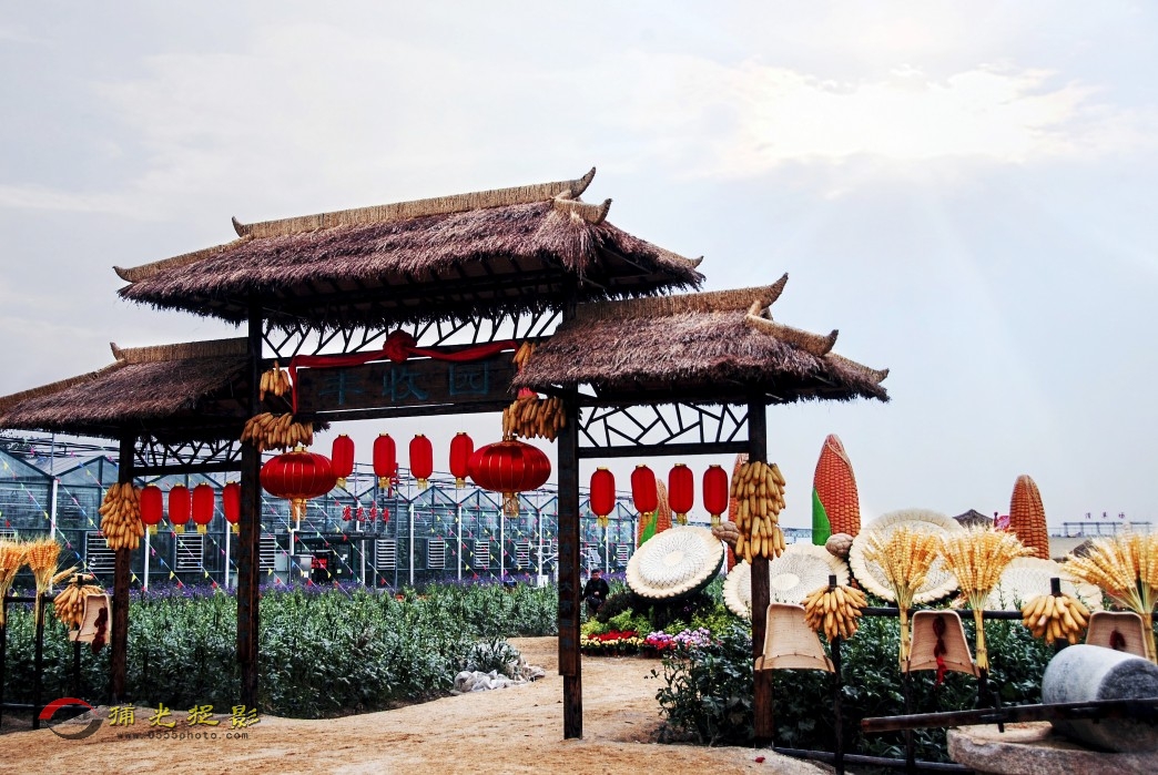 DSC_0026_conew2.JPG
