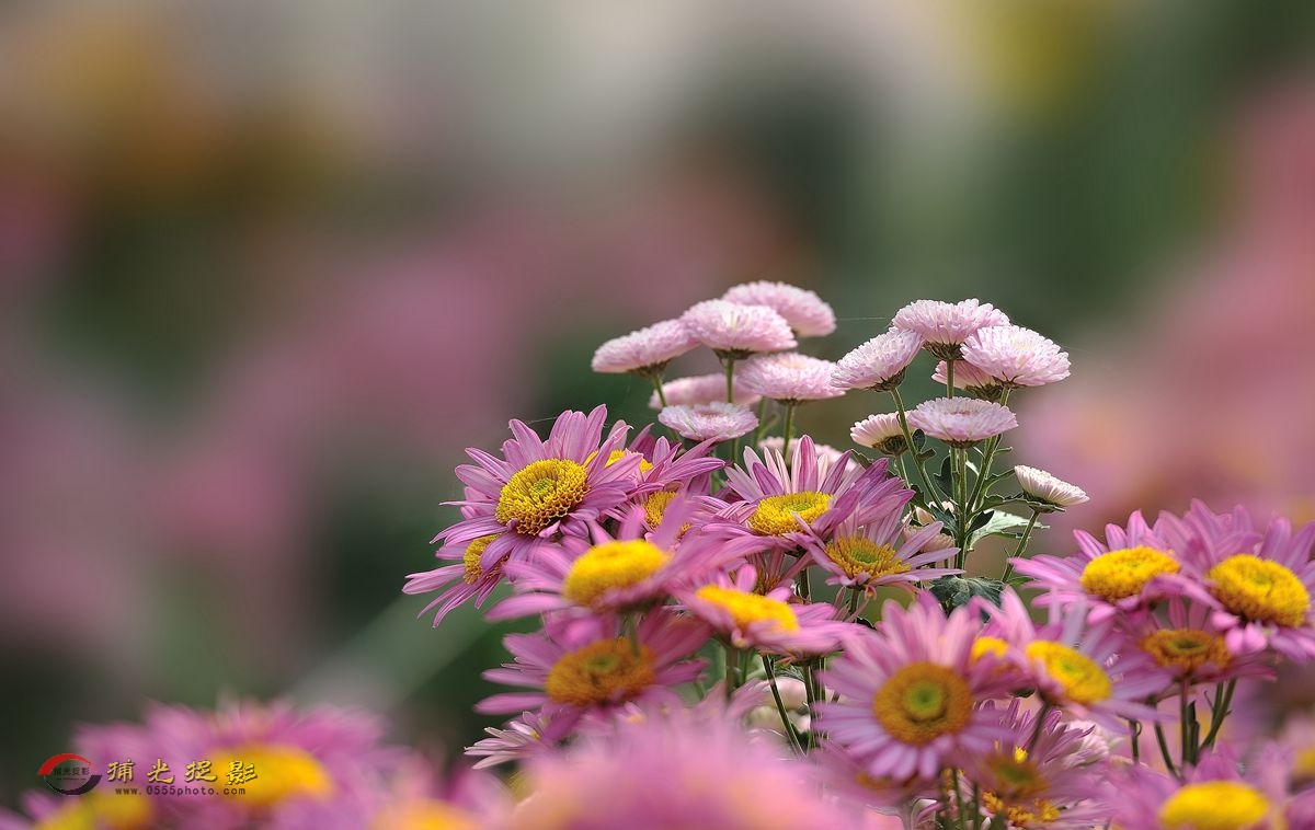 LMD_1121_.jpg