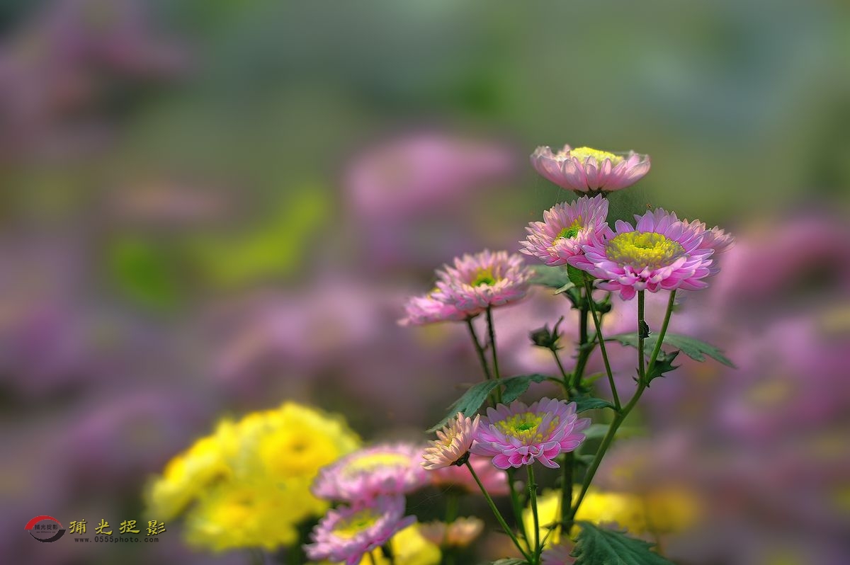 LMD_1119_.jpg