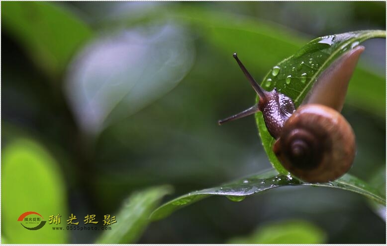 QQ图片20160628101825.jpg