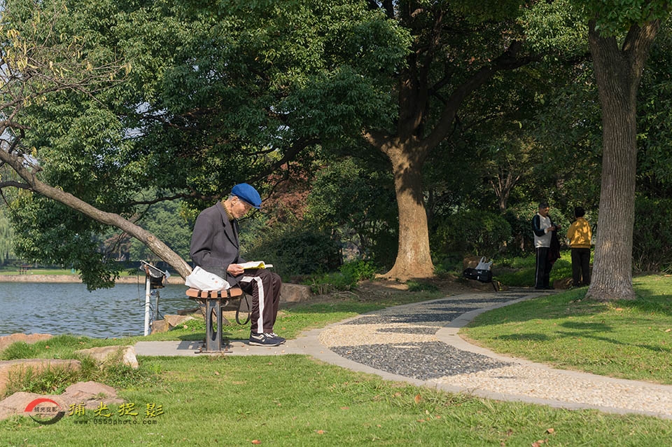 IMGP5290.JPG