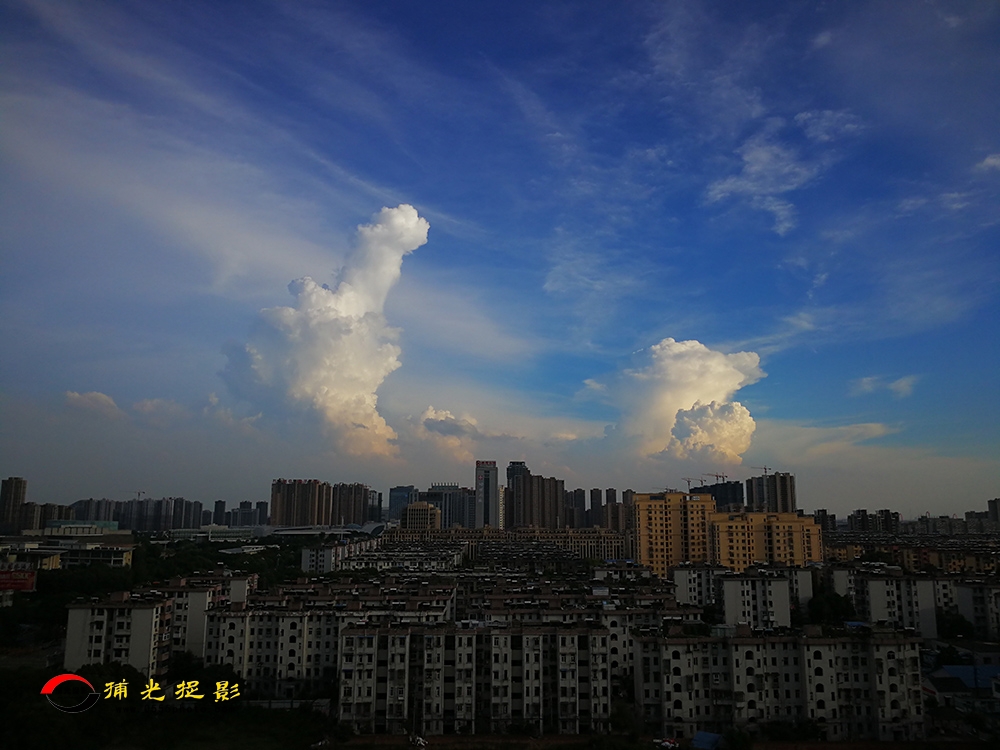W1.jpg