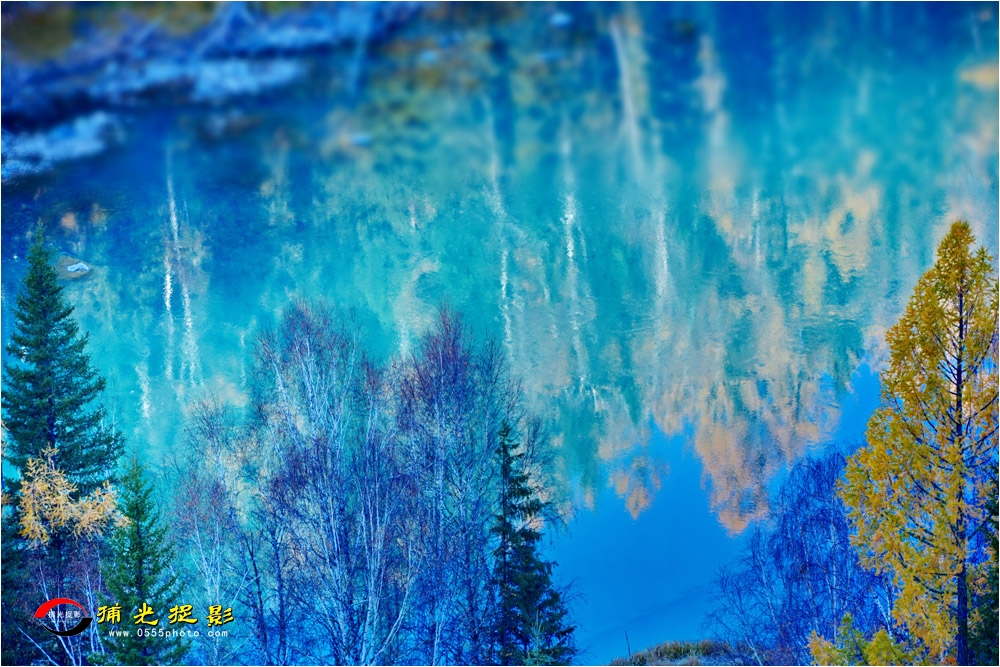 DSC_7969.JPG