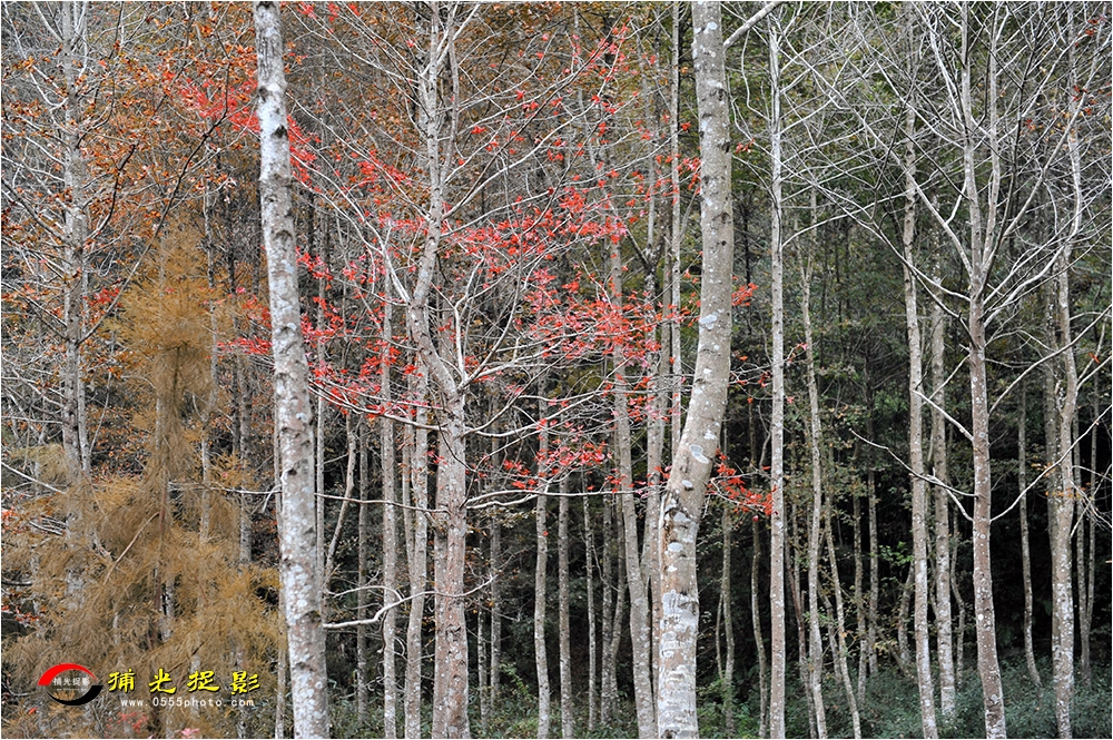 LCL_3158.jpg