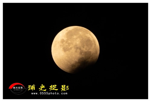 _DSC0805xg2025sw.jpg