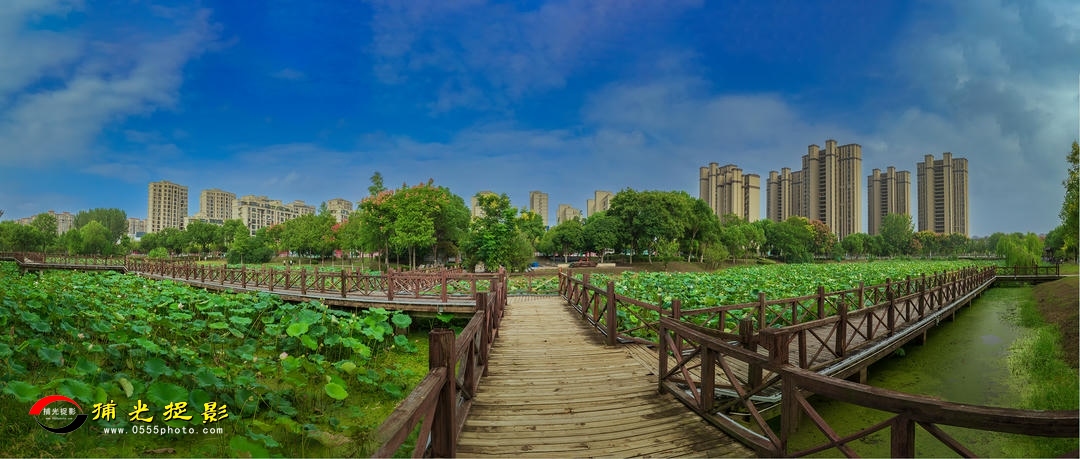 _36A3330-ȫͼ2560y.jpg