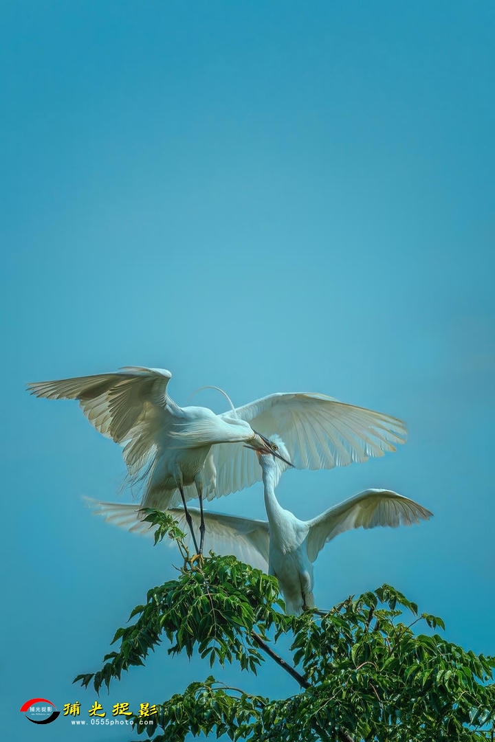 _MG_1701-1080 (2).jpg